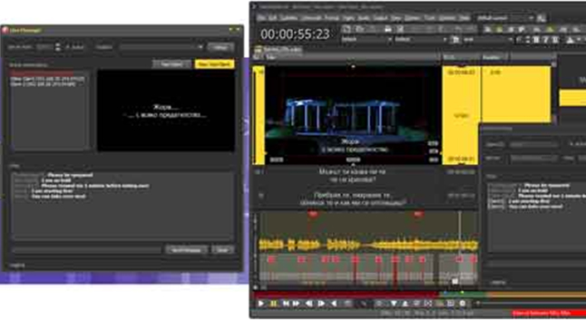 French subtitling formats